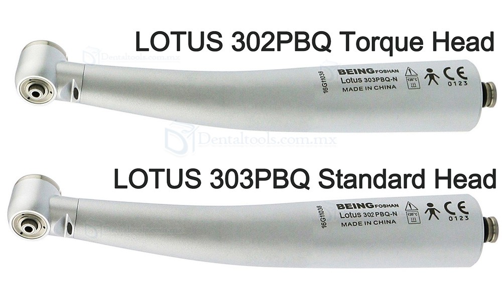 Being&reg; Louts 302PQ/303PQ Pieza de mano de alta velocidad compatible con KAVO